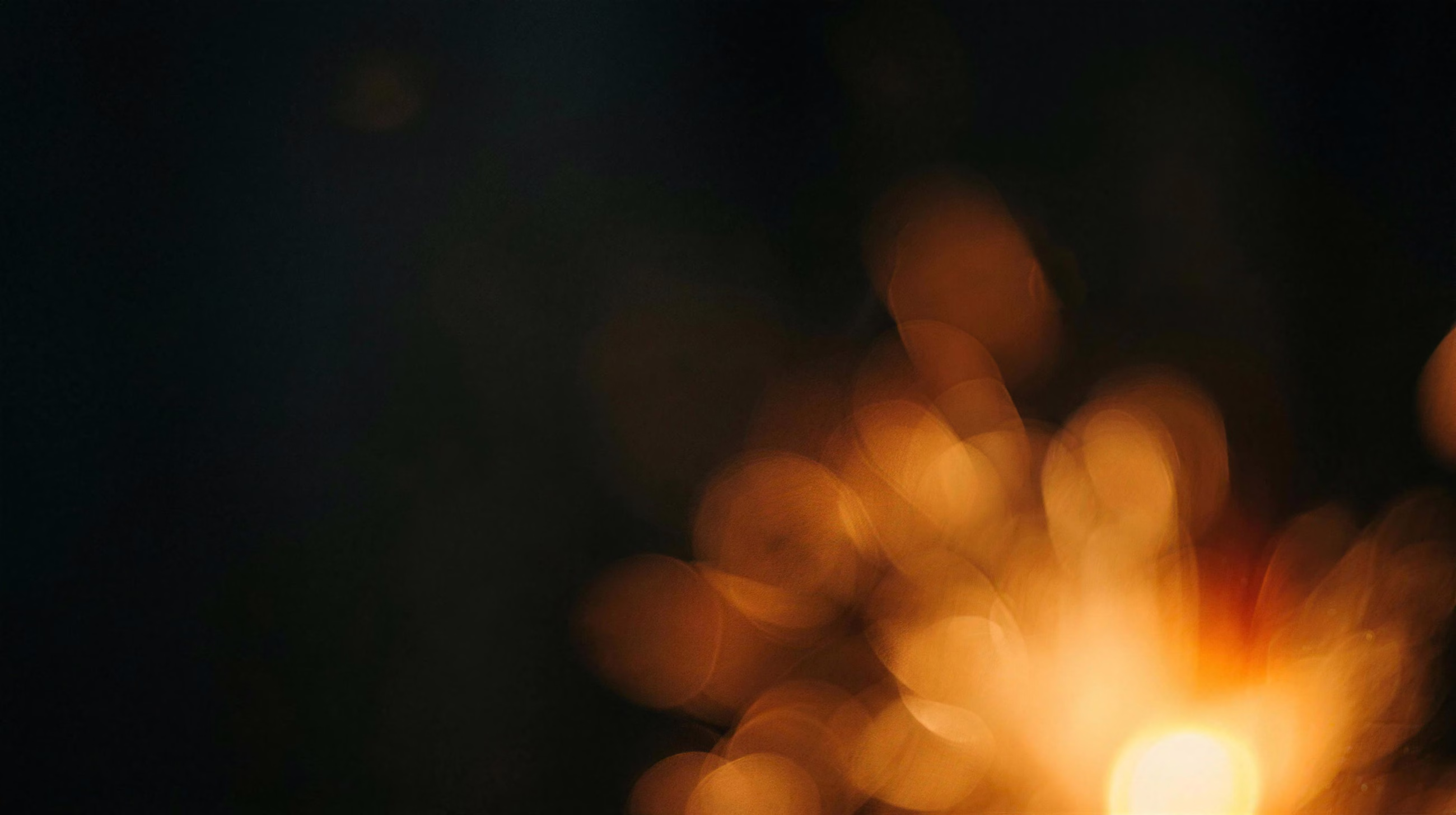 Ember Bloom, a gradient image in 16:9 format