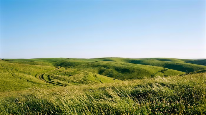 Green Hills, a nature image