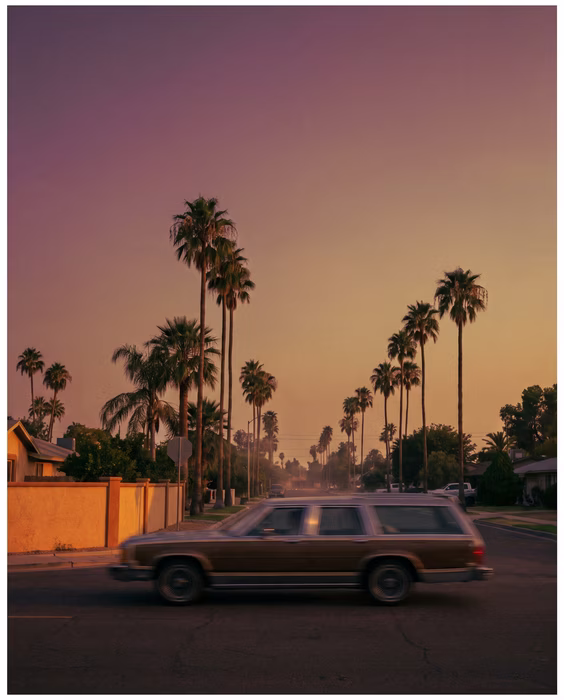 Palm Dusk Wagon, a lifestyle image