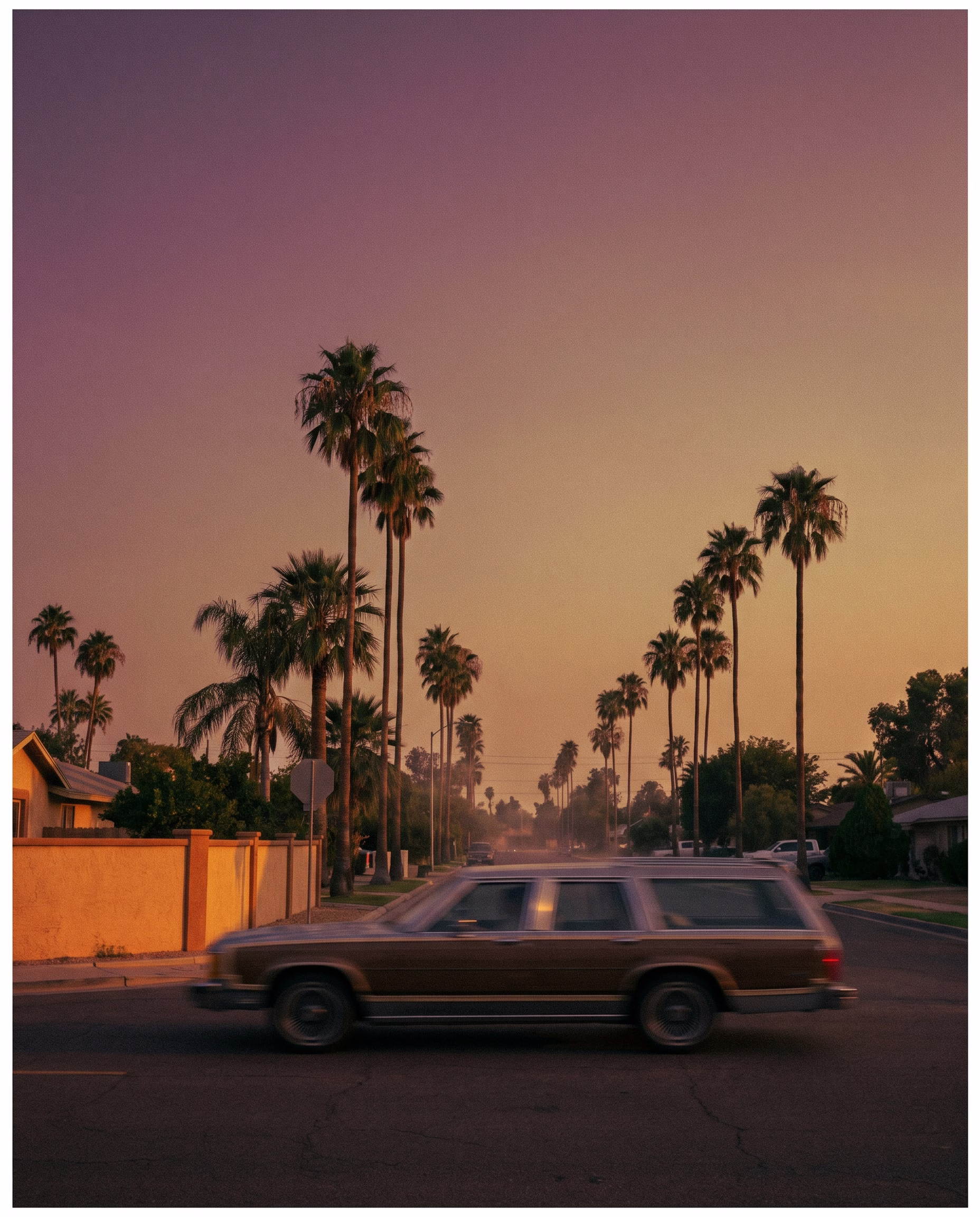 Palm Dusk Wagon, a lifestyle image in 9:16 format