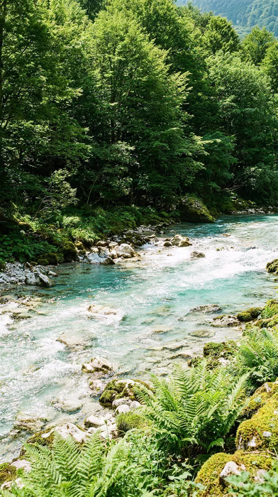 River Ferns, a free nature image in 9:16 format