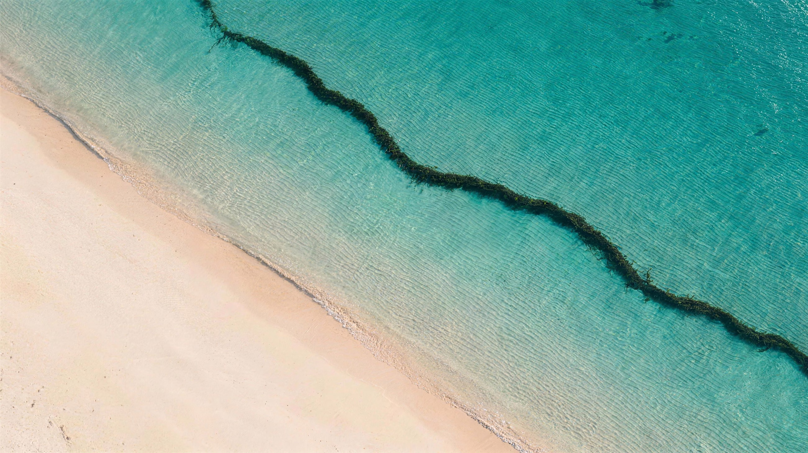 Shore Aerial, a aerial image in 16:9 format