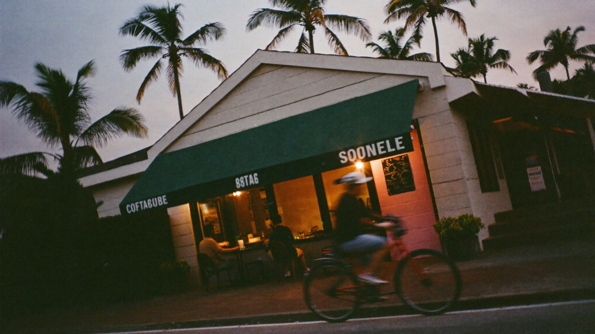 Storefront Palms, a lifestyle image in 16:9 format